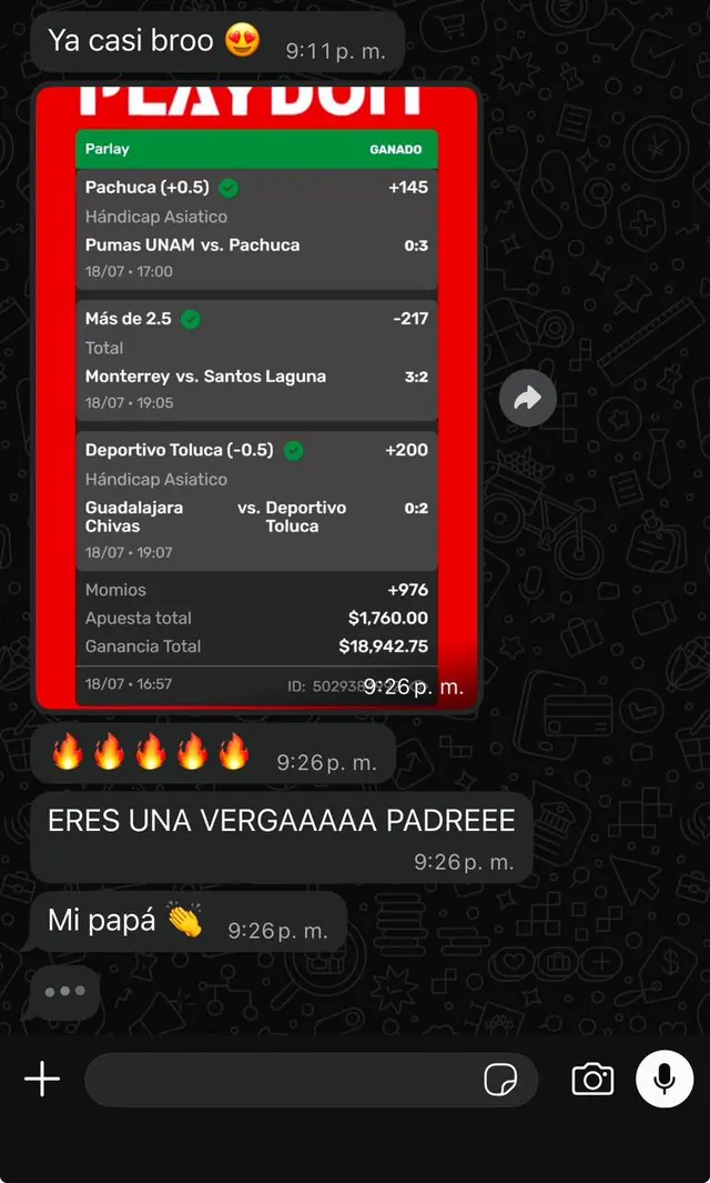 Conversación de WhatsApp: miembro celebra ticket ganado de $18,942 con mensajes de euforia